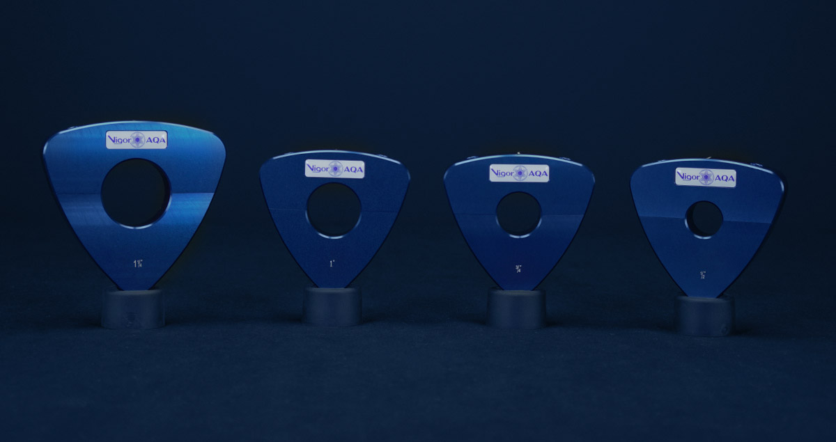 Vigor AQA
